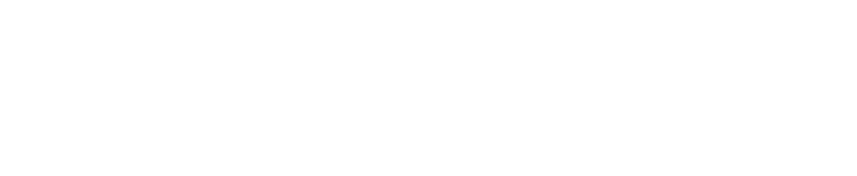 El Punt
